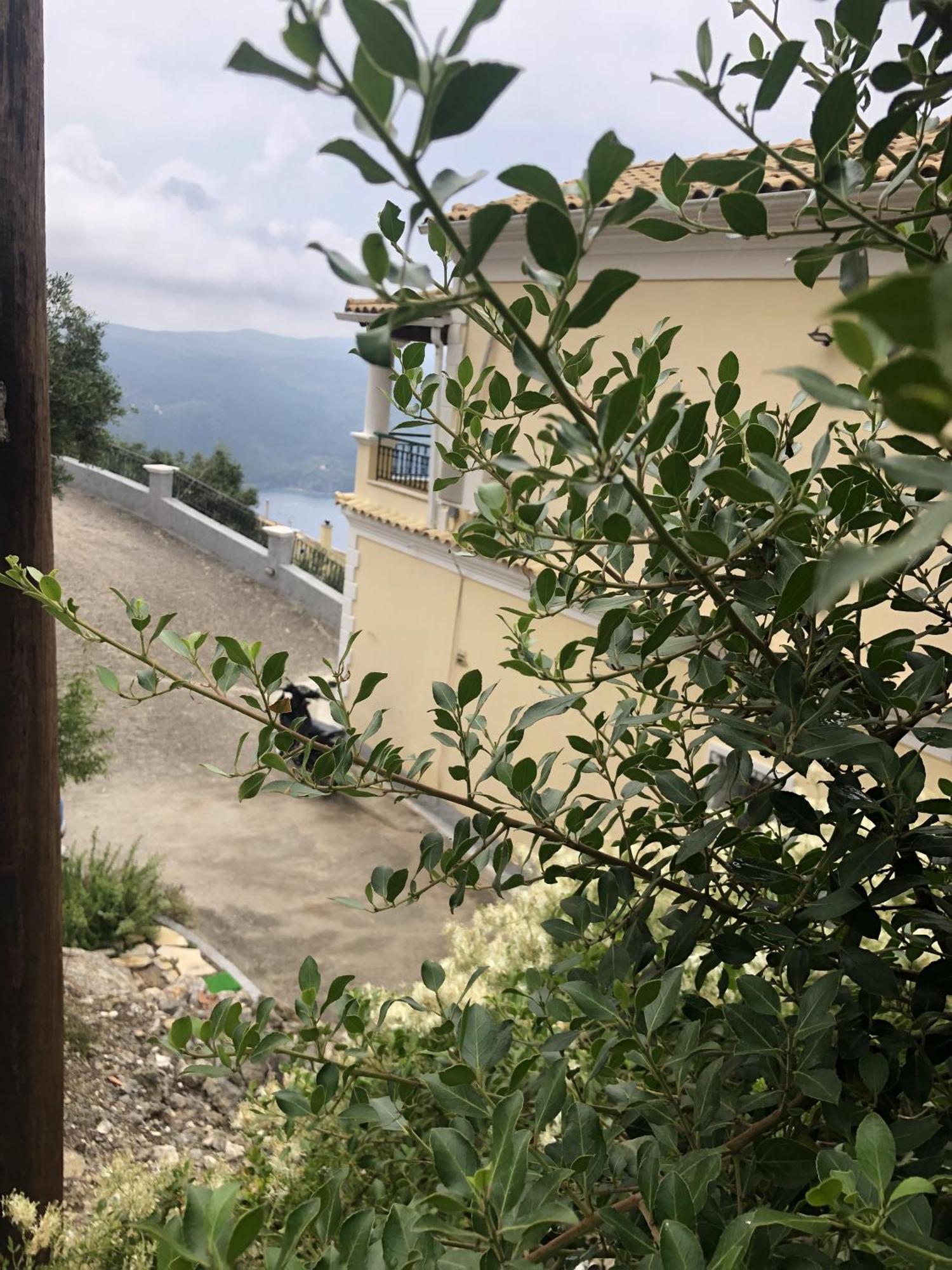 Lákones Mariza'S View House 아파트 외부 사진
